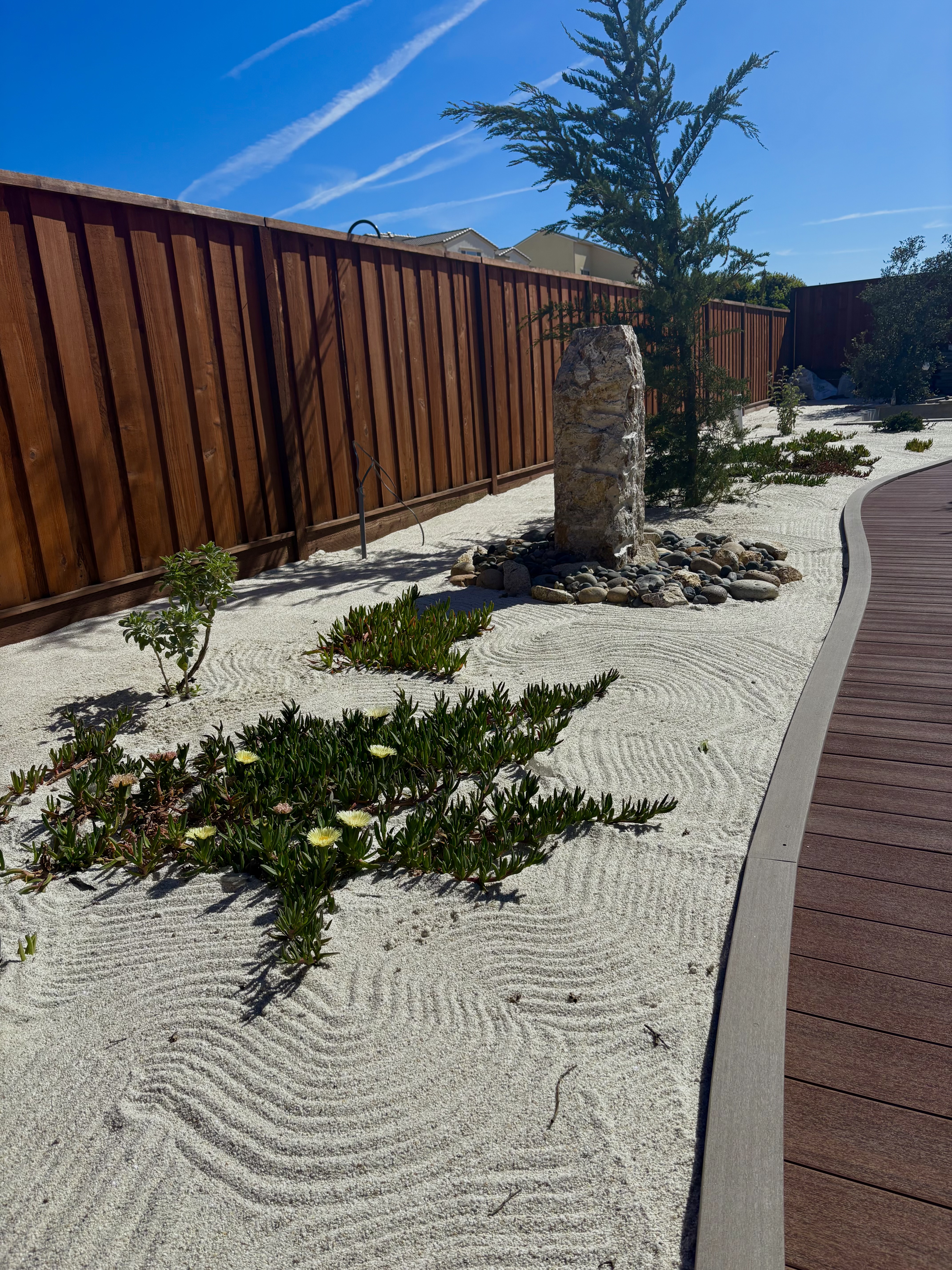 Asilomar Backyard — construction progress