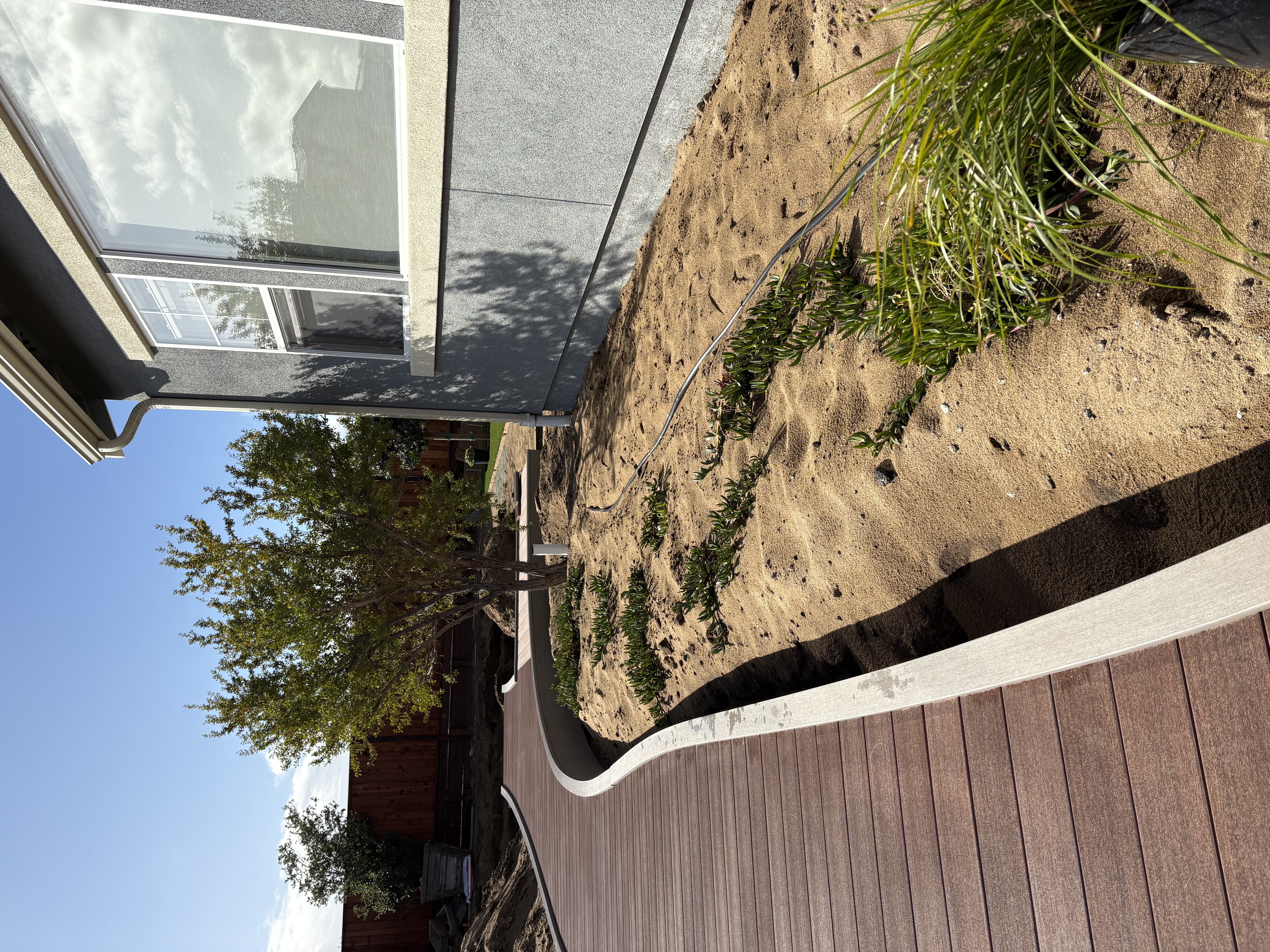 Asilomar Backyard — site view