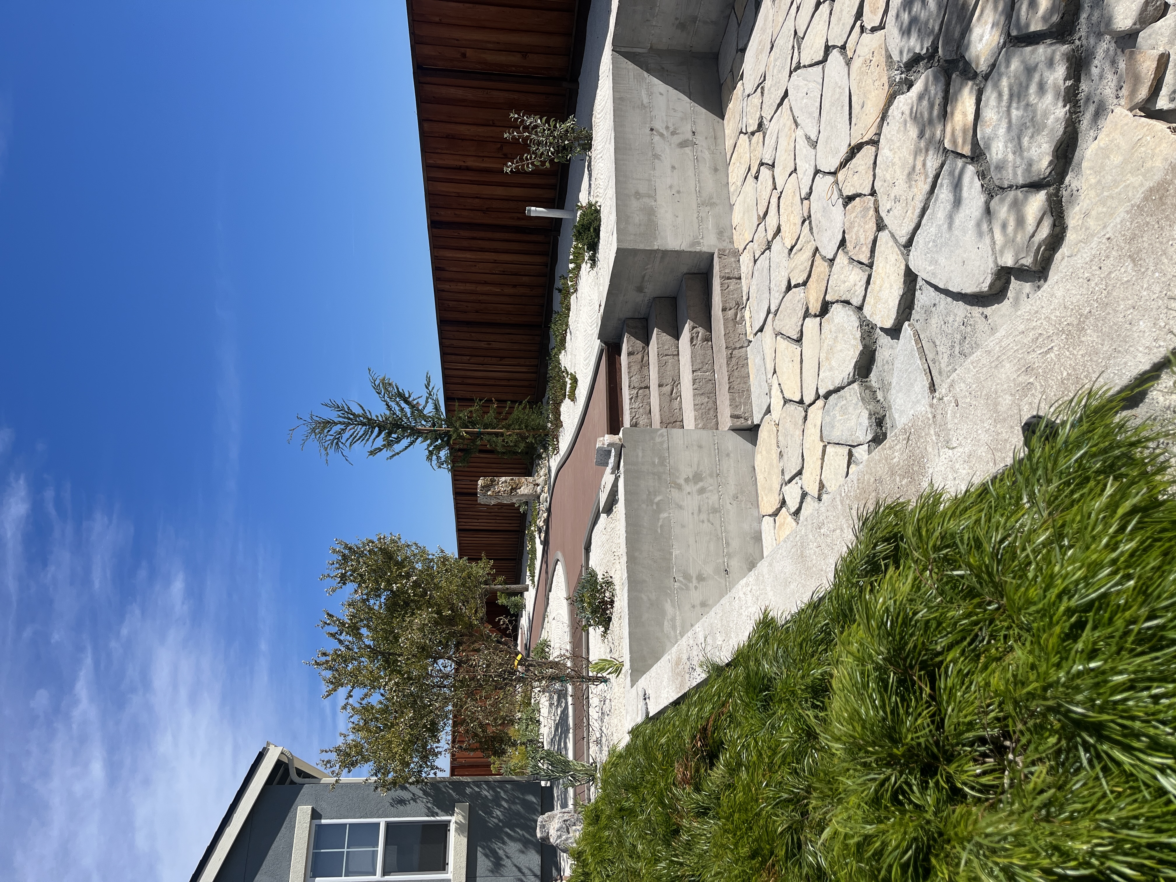 Asilomar Backyard — coastal native plantings