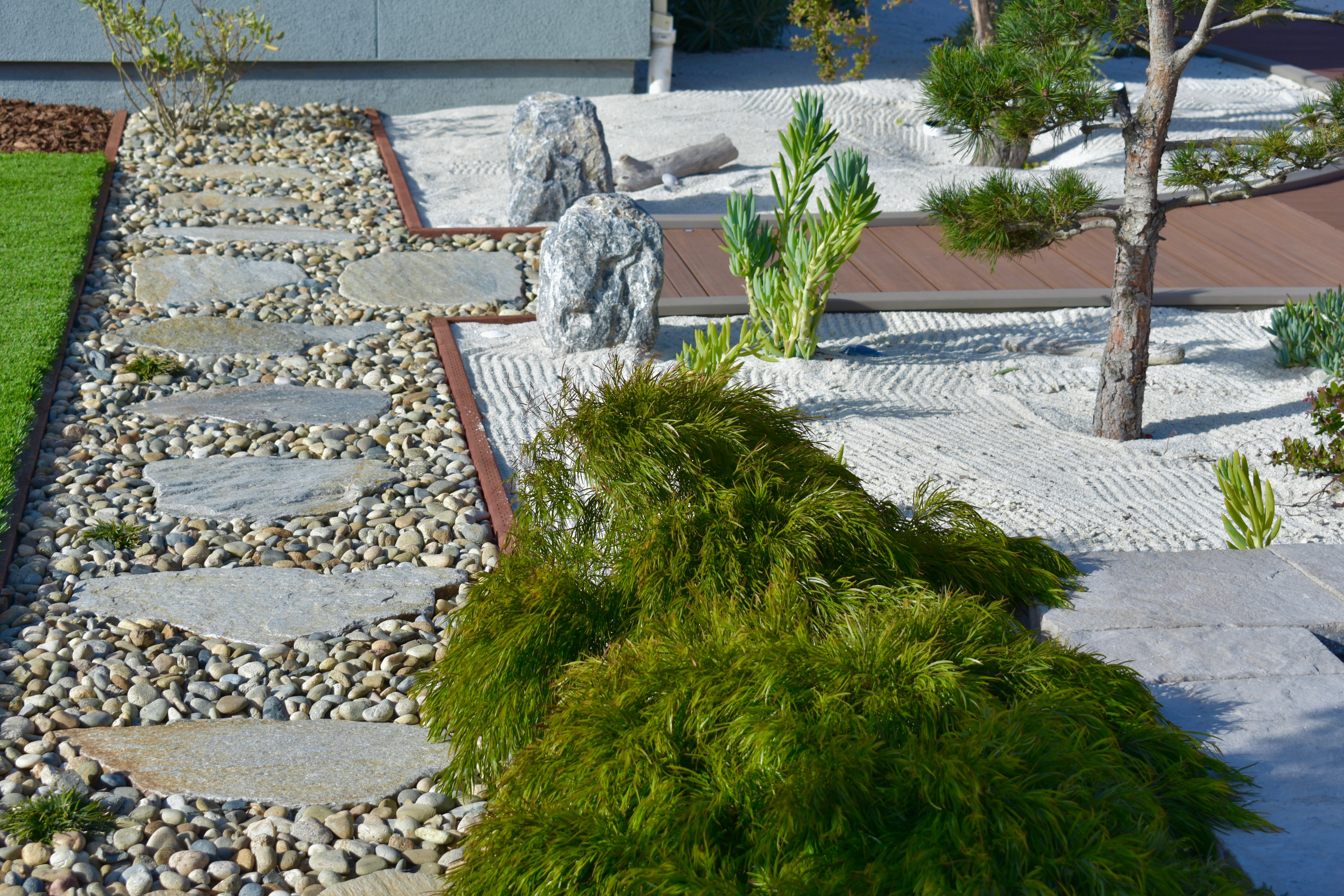 Asilomar Backyard